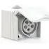 875-6v.jpg