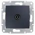 SDN3201670.jpg
