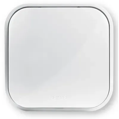 782404.jpg