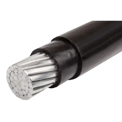 YAKXS 1x120RMC.jpg