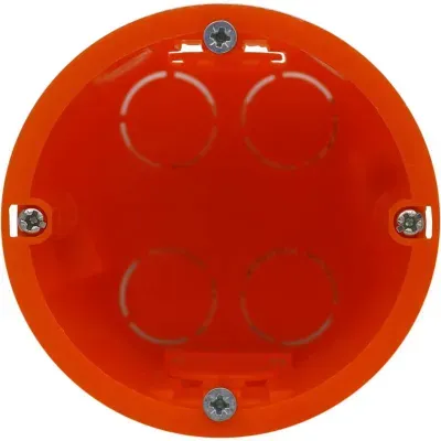 302591.jpg